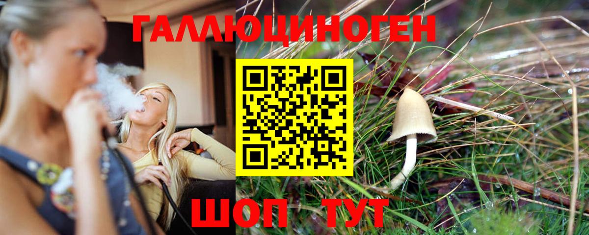 закладка  Галлюциногенные грибы MAGIC MUSHROOMS  Вход с VPN  Гатчина 